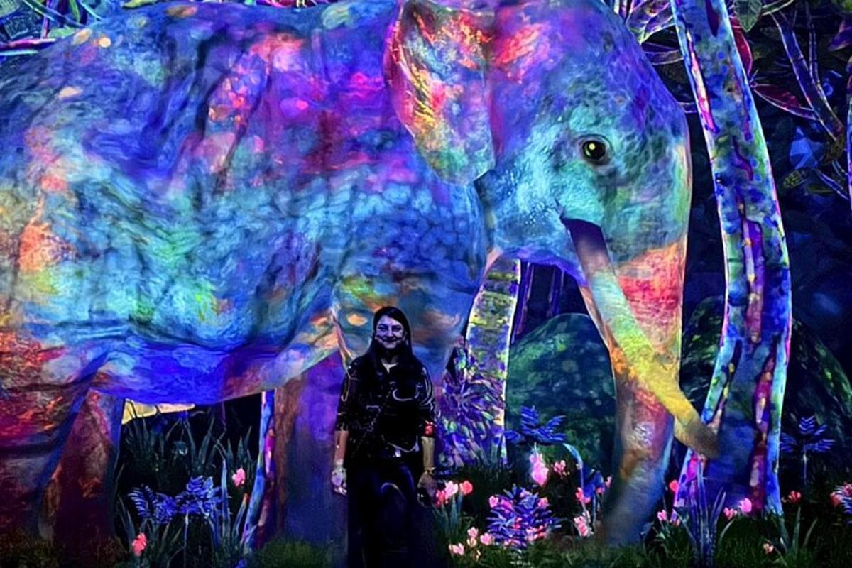 Una persona parada frente a una pintura de un elefante.