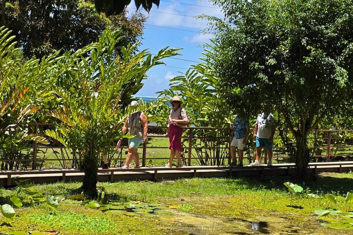 一群人站在栅栏上