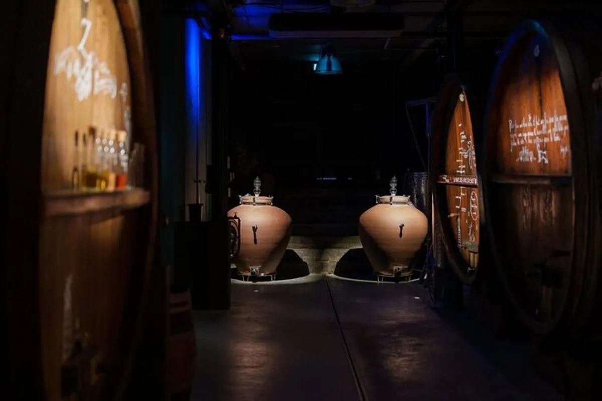 Visite de cave de Noël Immersive et dégustation de vins d'Alsace – photo 14