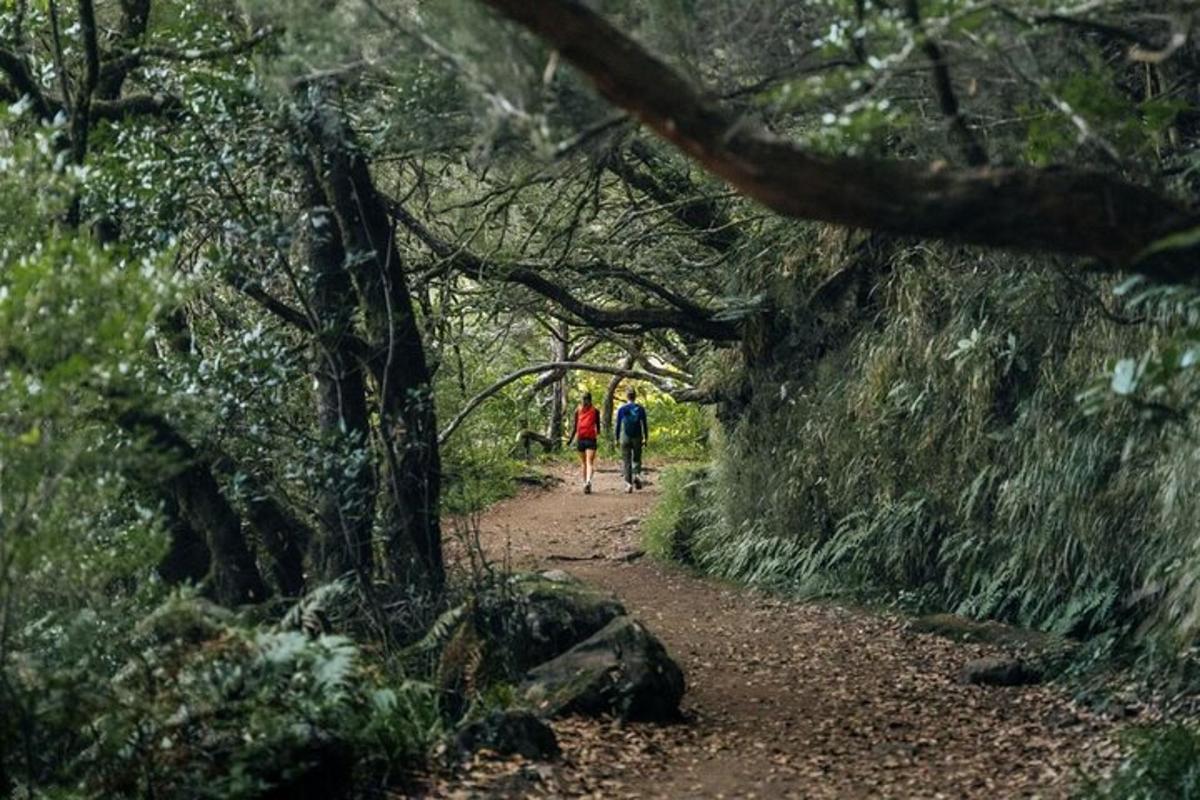 two people walking down a trail in the woods