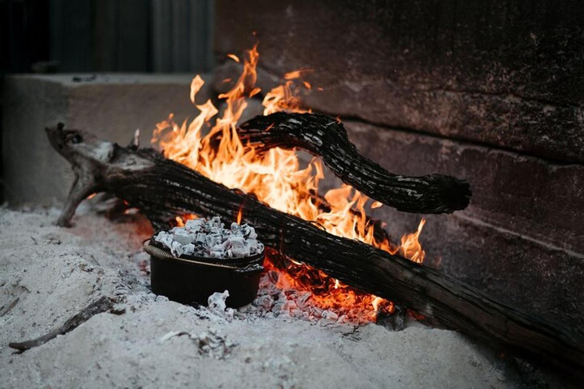 火上放着一锅食物