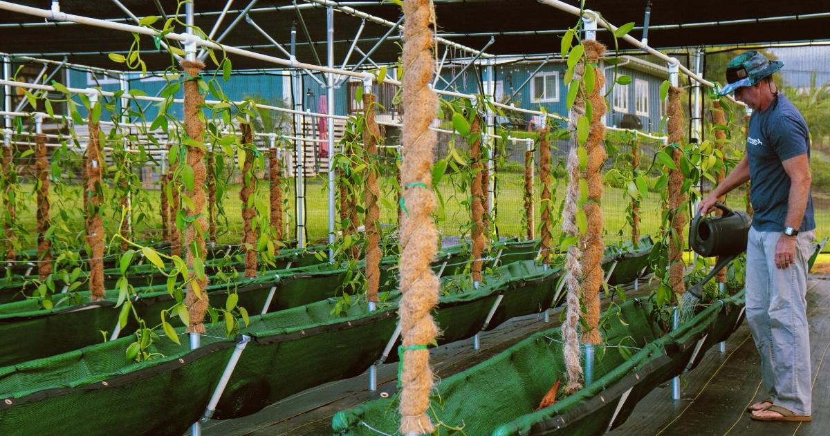 a man standing in a greenhouse with a bunch of plants