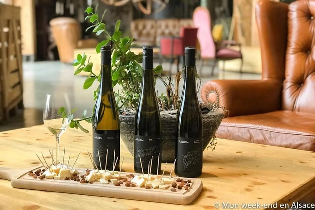 Alsace : Visite Chai Paille Unique/Dégustation Vins Biodynamiques – photo 3