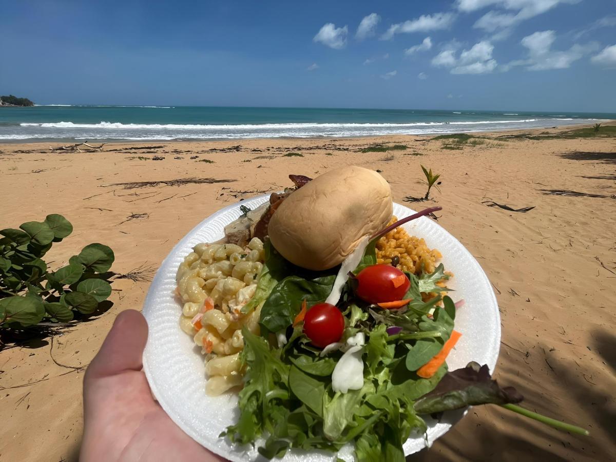 a plate of food with a salad on the beach