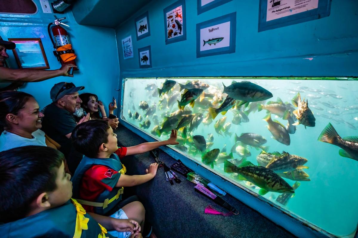 a group of children looking at fish in a aquarium