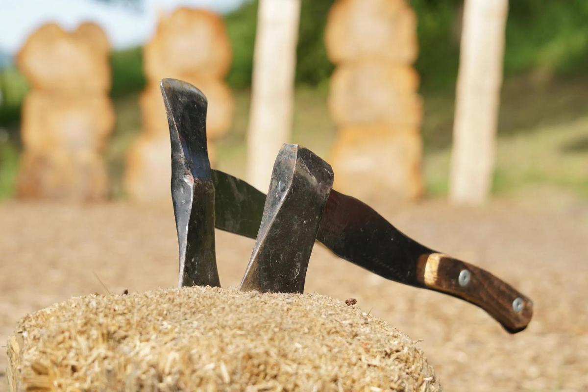 a pair of knives sticking out of a rock