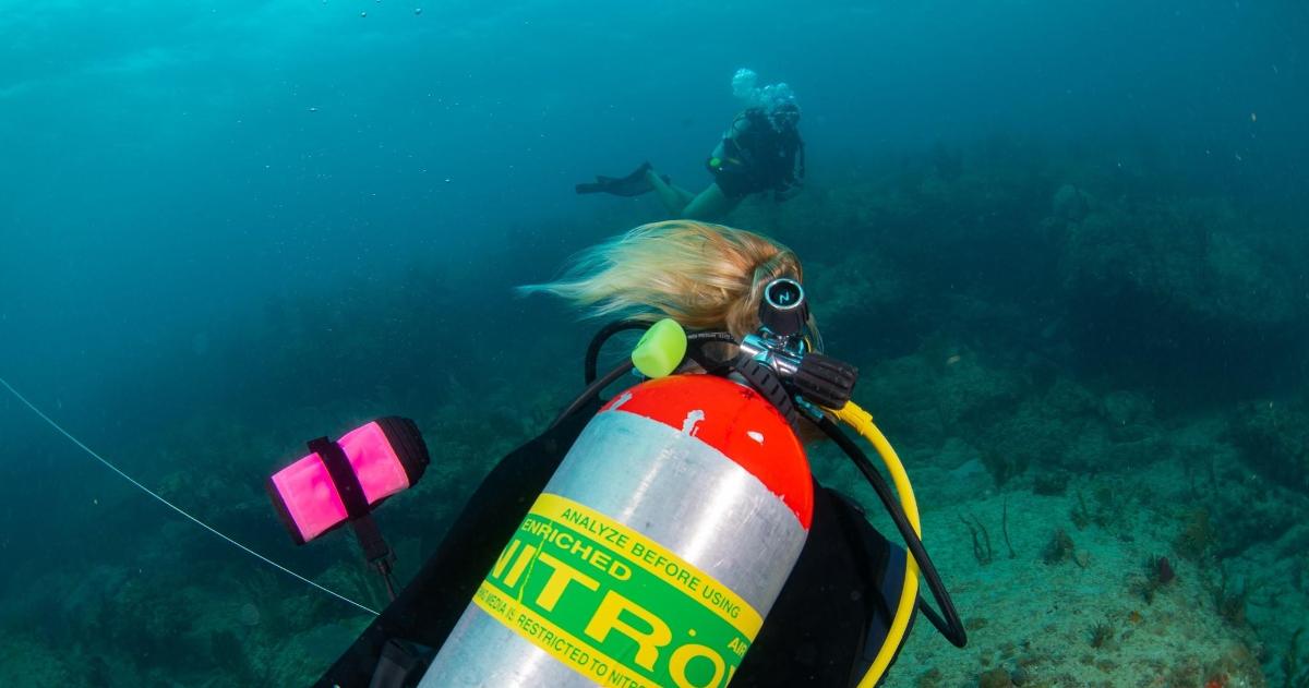 a person is scuba diving in the ocean