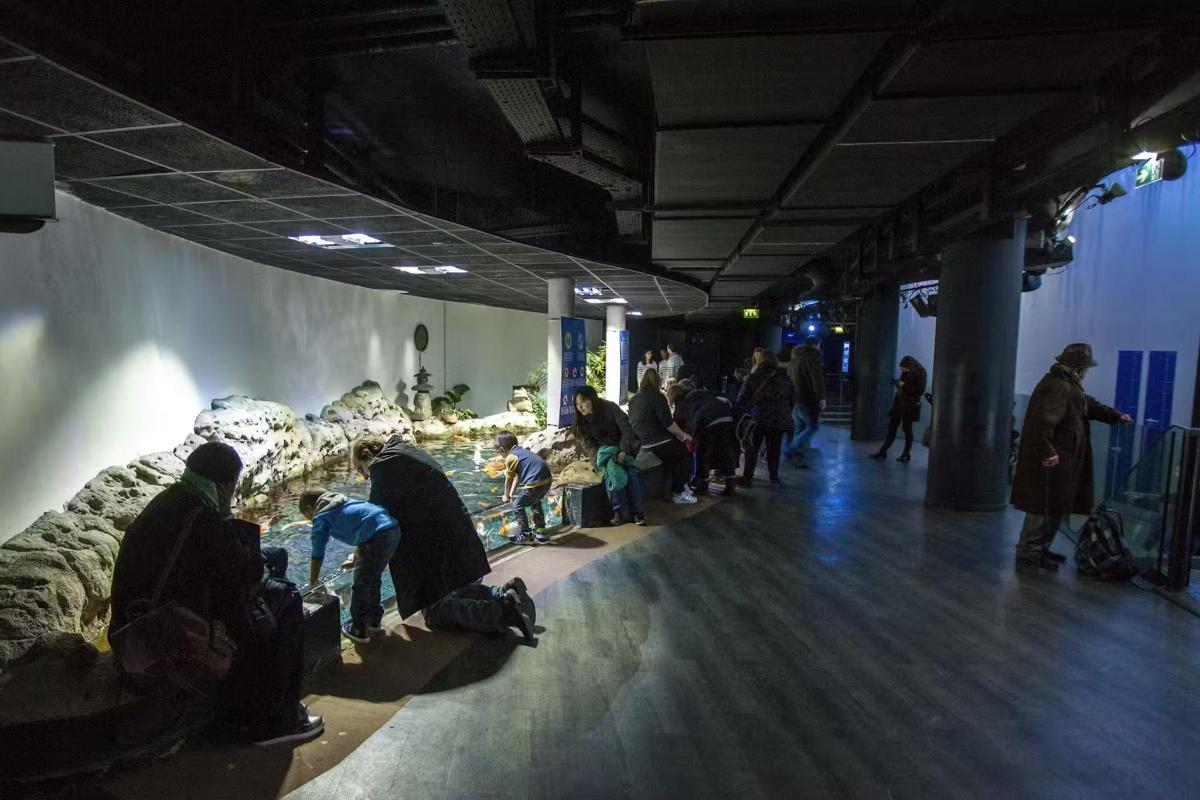 a group of people in a museum looking at animals