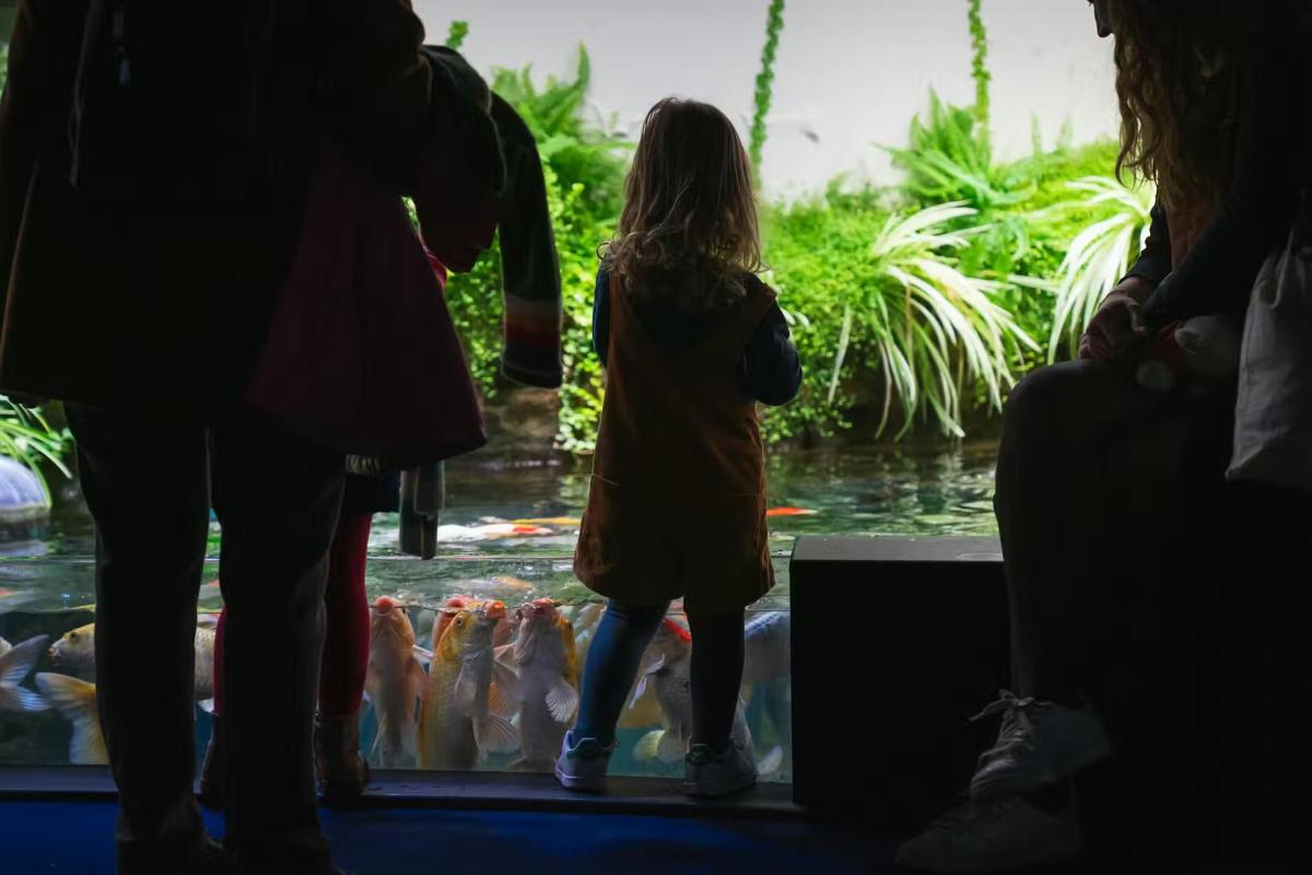 a little girl standing in front of a fish pond