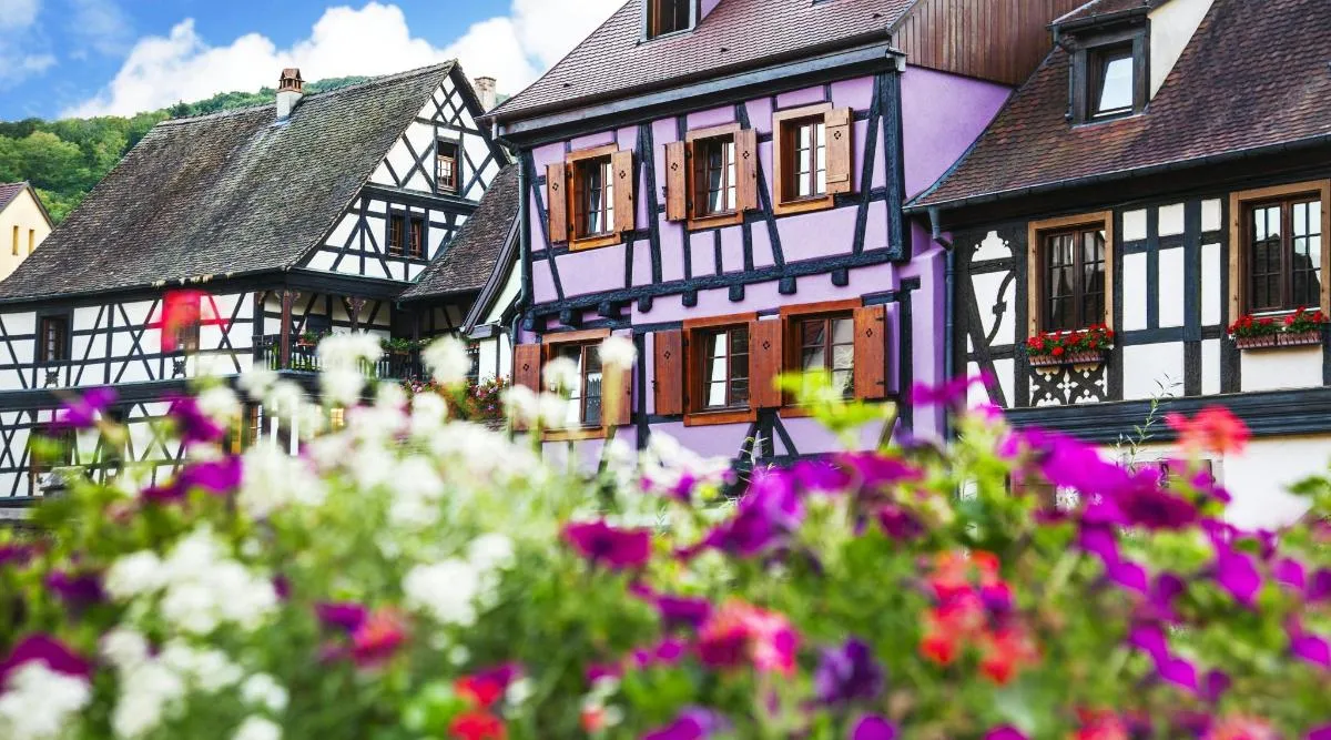 Alsace Villages Half-day Tour from Colmar – photo 1