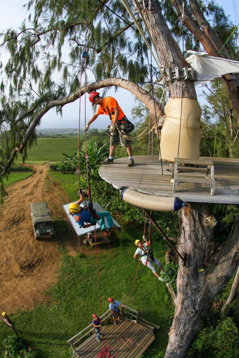 a man in an orange shirt swinging on a tree
