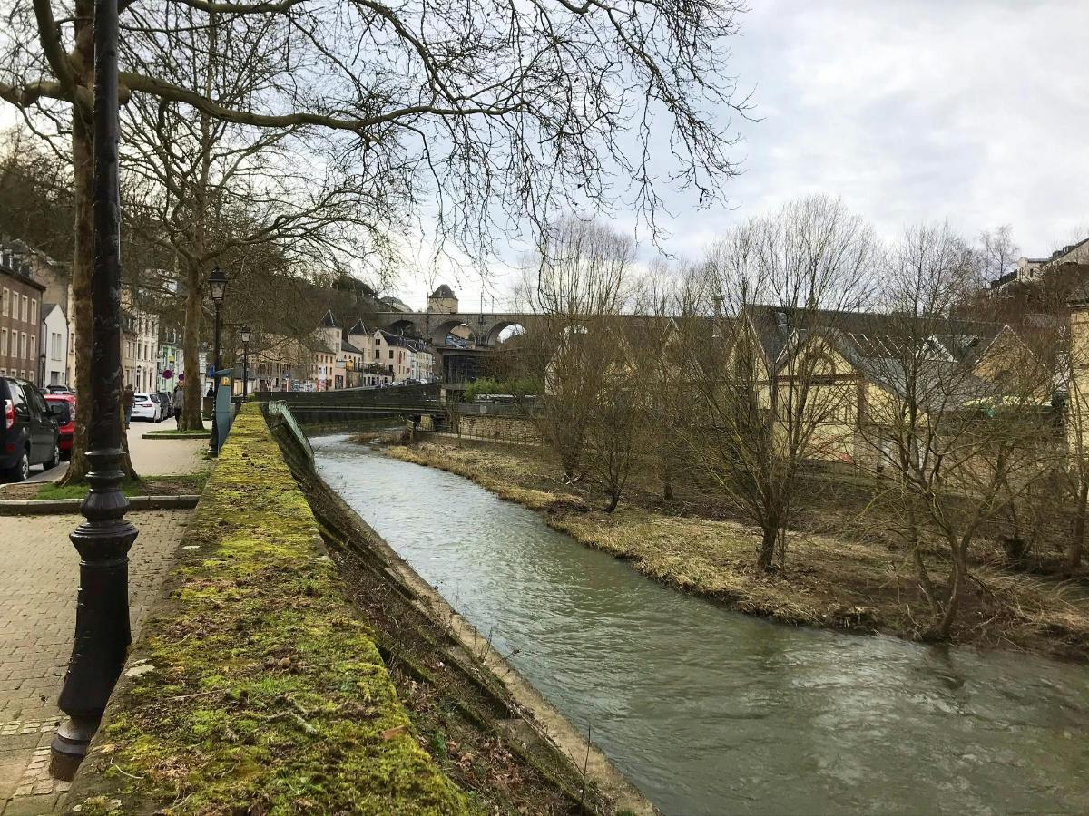 a river in the middle of a city
