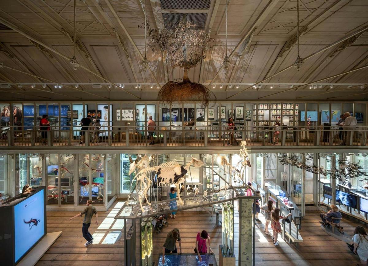 a mall with people walking around a mall with a museum