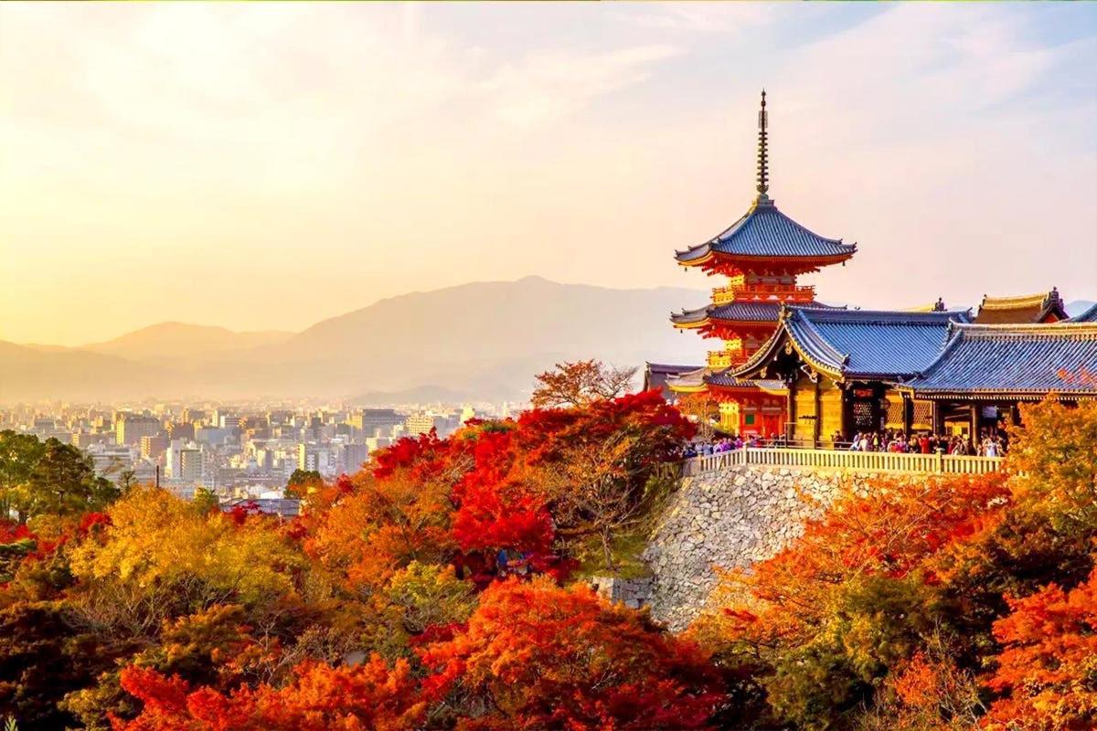 a pagoda on top of a mountain with autumn leaves