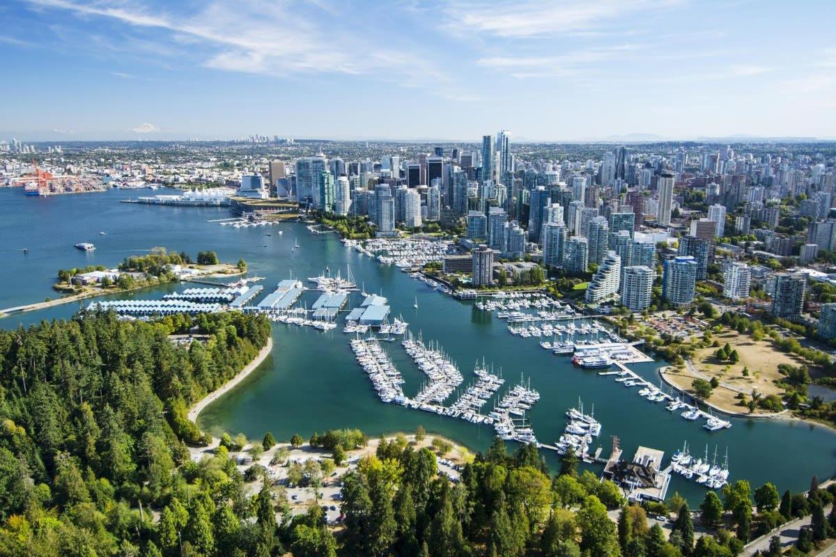 an aerial view of a harbor with a city
