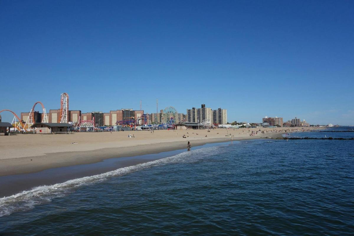 a beach with a group of people in the water