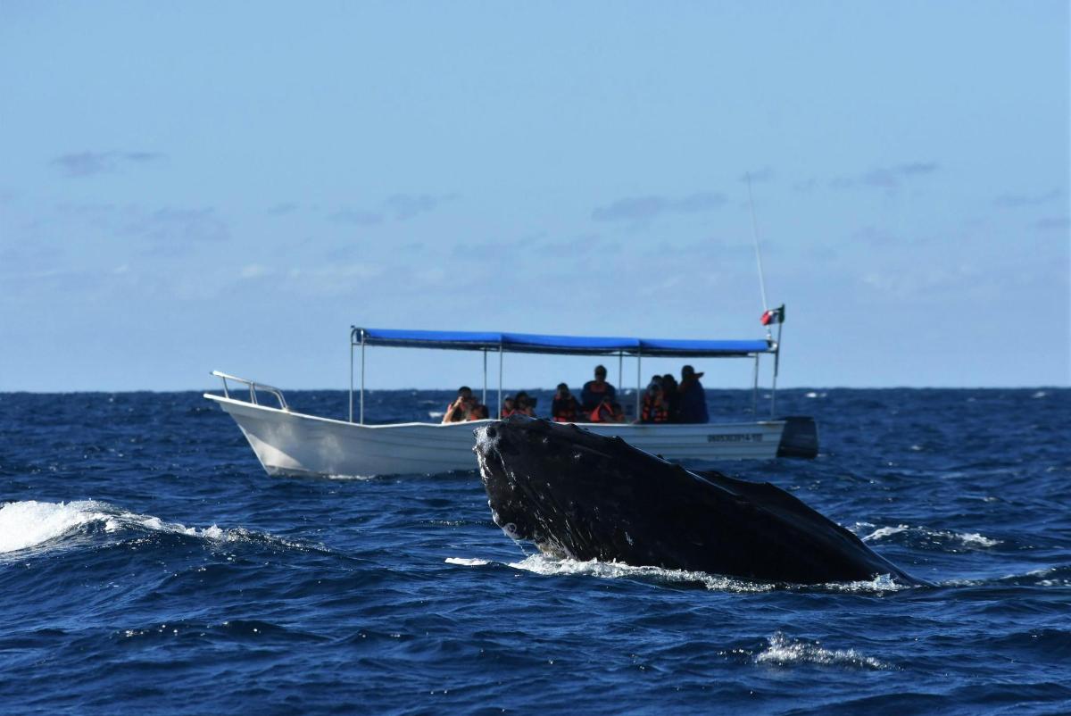 un grupo de personas en un barco en el océano