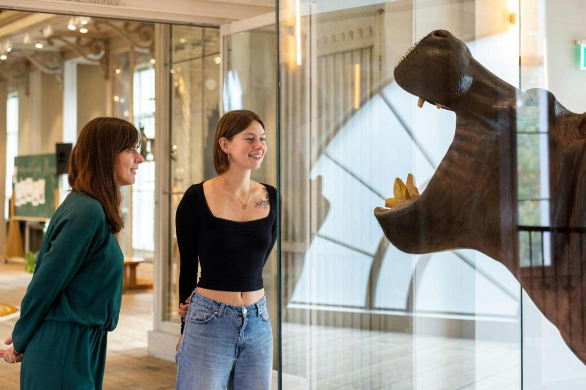 two women standing in a museum looking at a bear statue