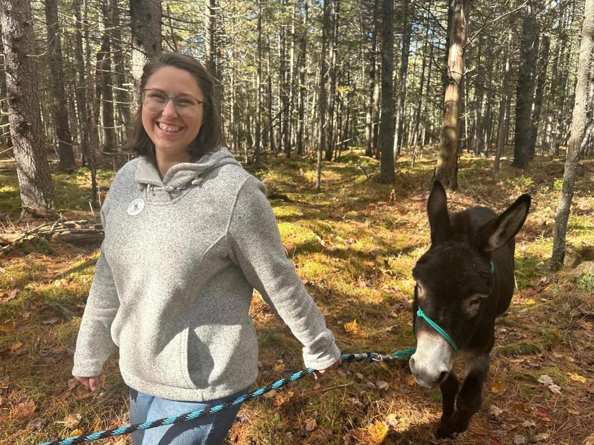 a woman is holding a donkey on a leash