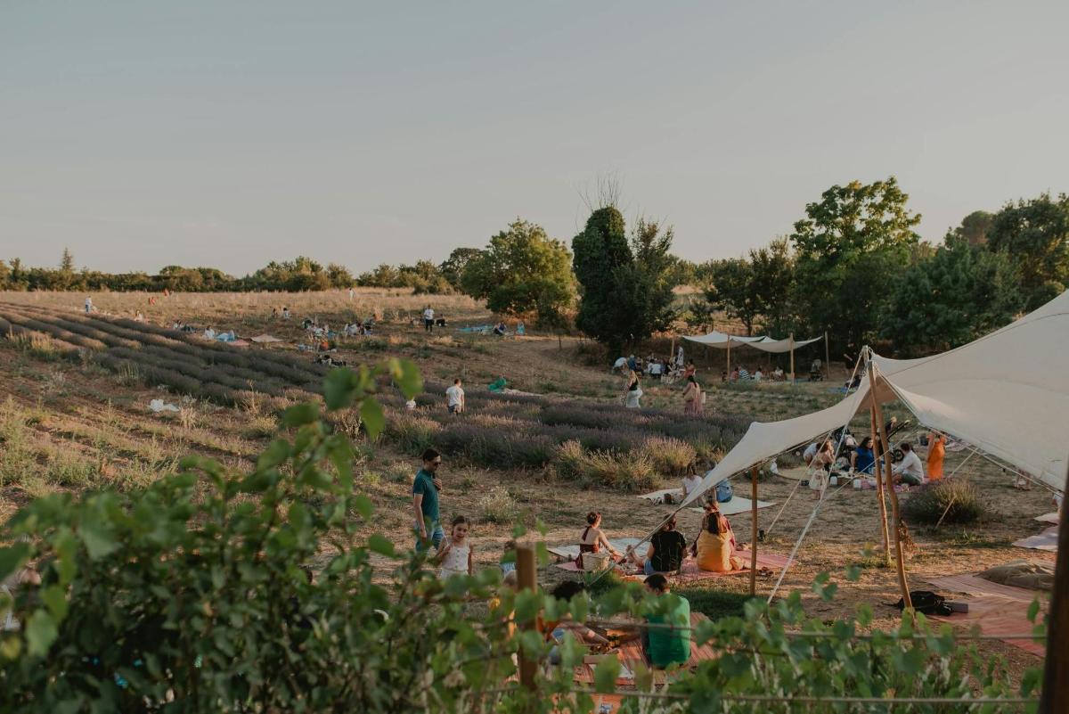 a group of people in a field with a tent