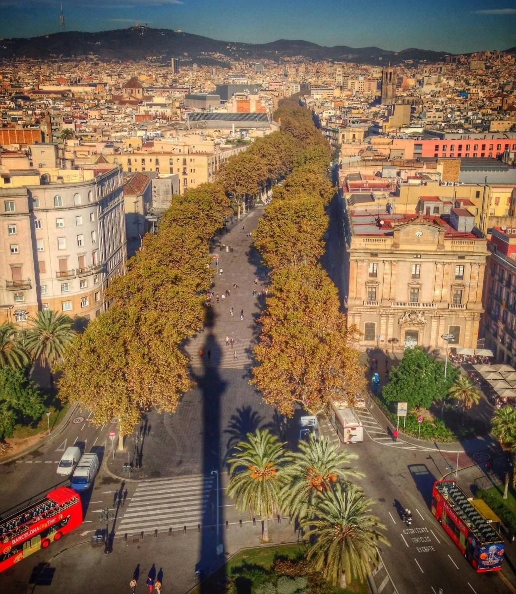 an aerial view of a city with buildings and trees