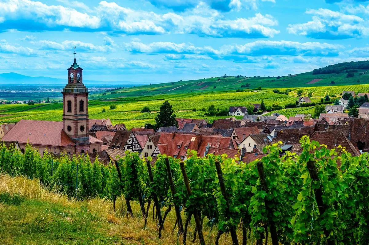 Sur la route des Vins d'Alsace - Visite réservée aux Adultes – photo 2