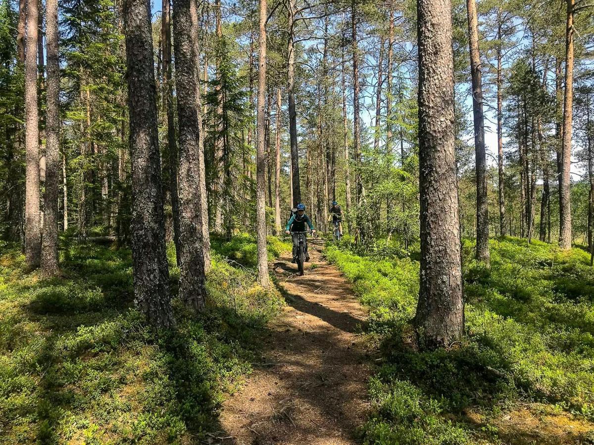 a person riding a bike on a trail in the woods