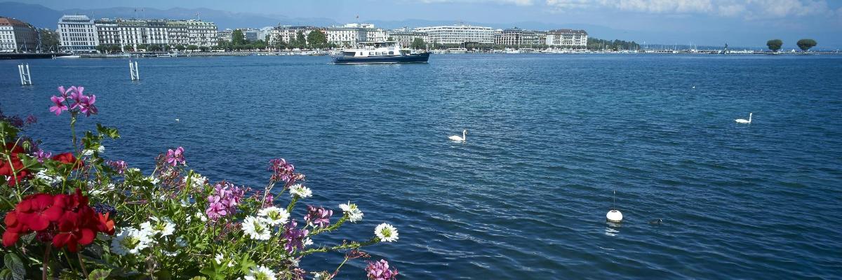 a large body of water with a boat and flowers