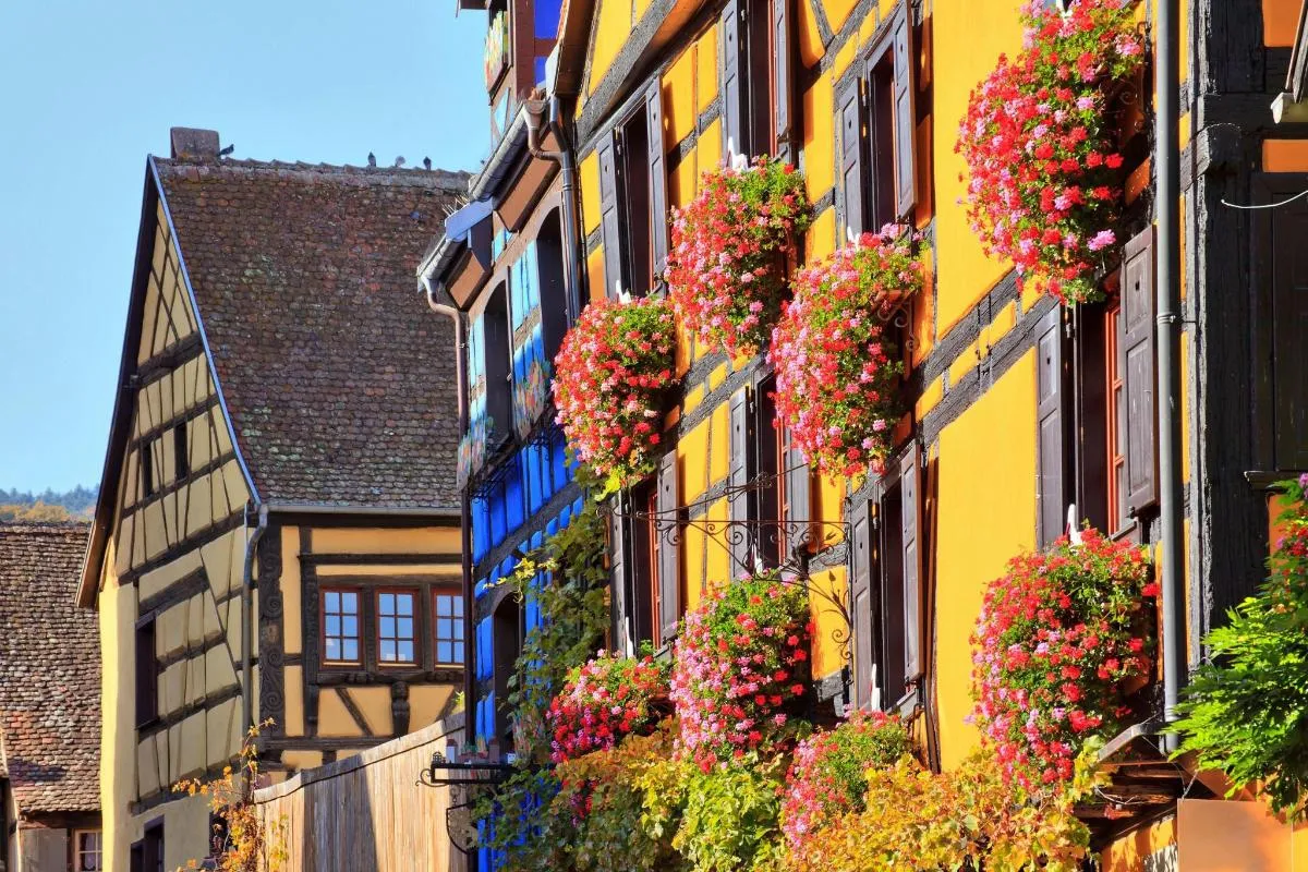 Colmar : excursion d'une journée sur la Route des Vins avec dégustations – photo 4