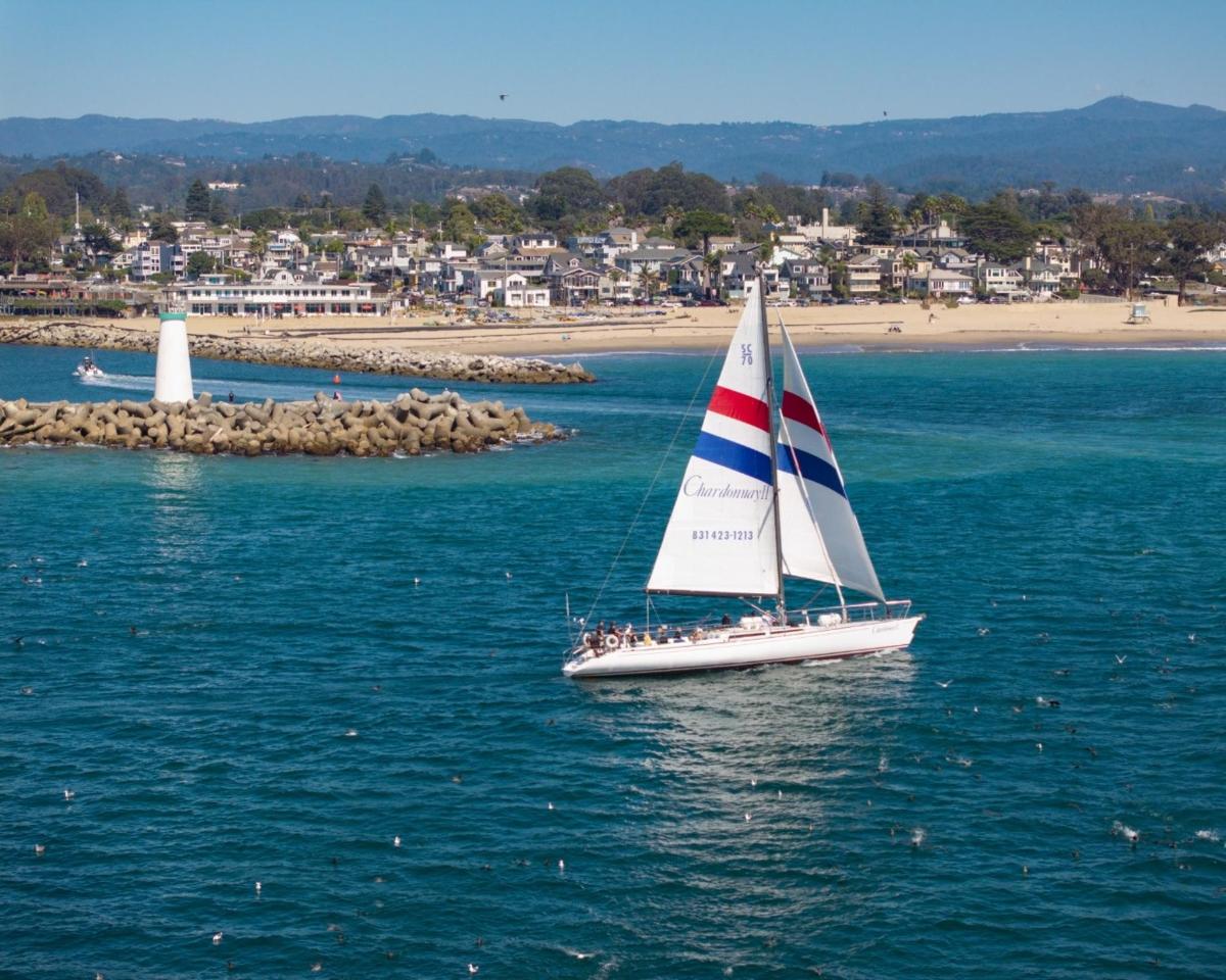 a sail boat in the water near a beach