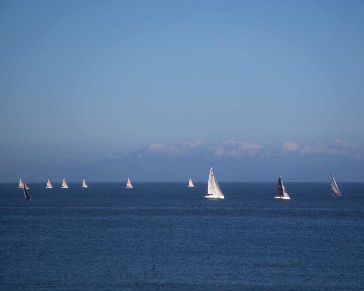 a group of sailboats floating in the water