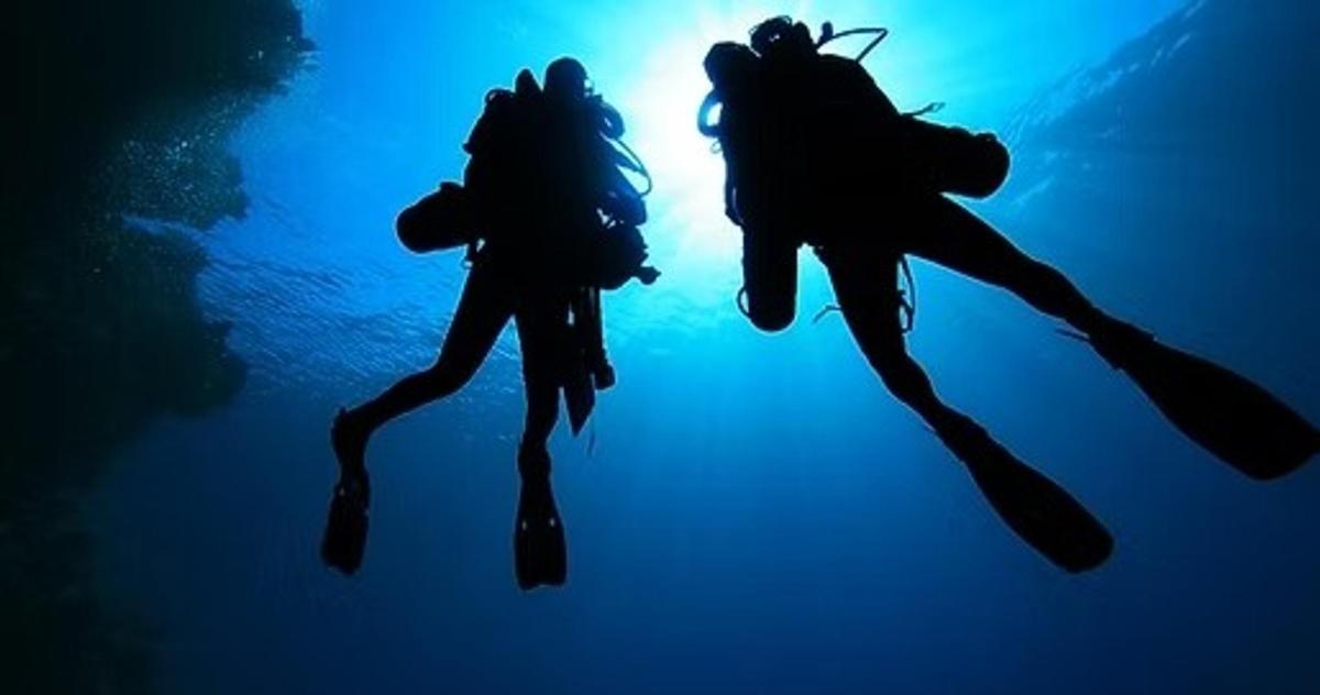 two jellyfish swimming in the water in the ocean