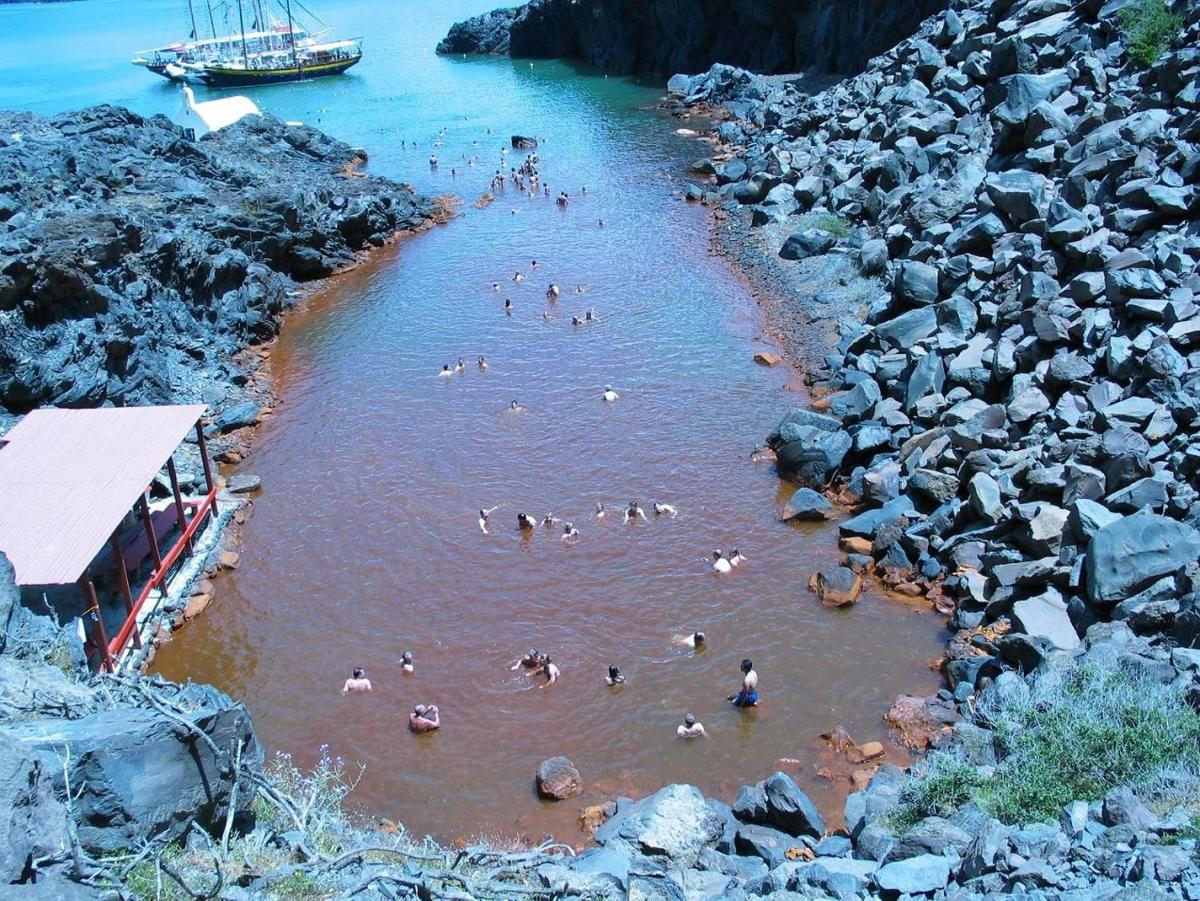 a group of people swimming in a river with rocks