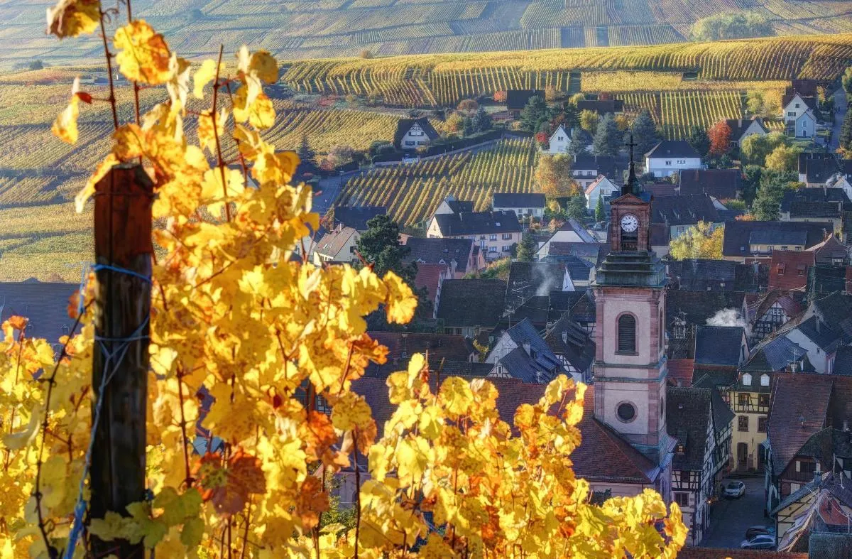 Halbtägige Weintour ab Colmar mit 2 Verkostungen, 4 h – Foto 4