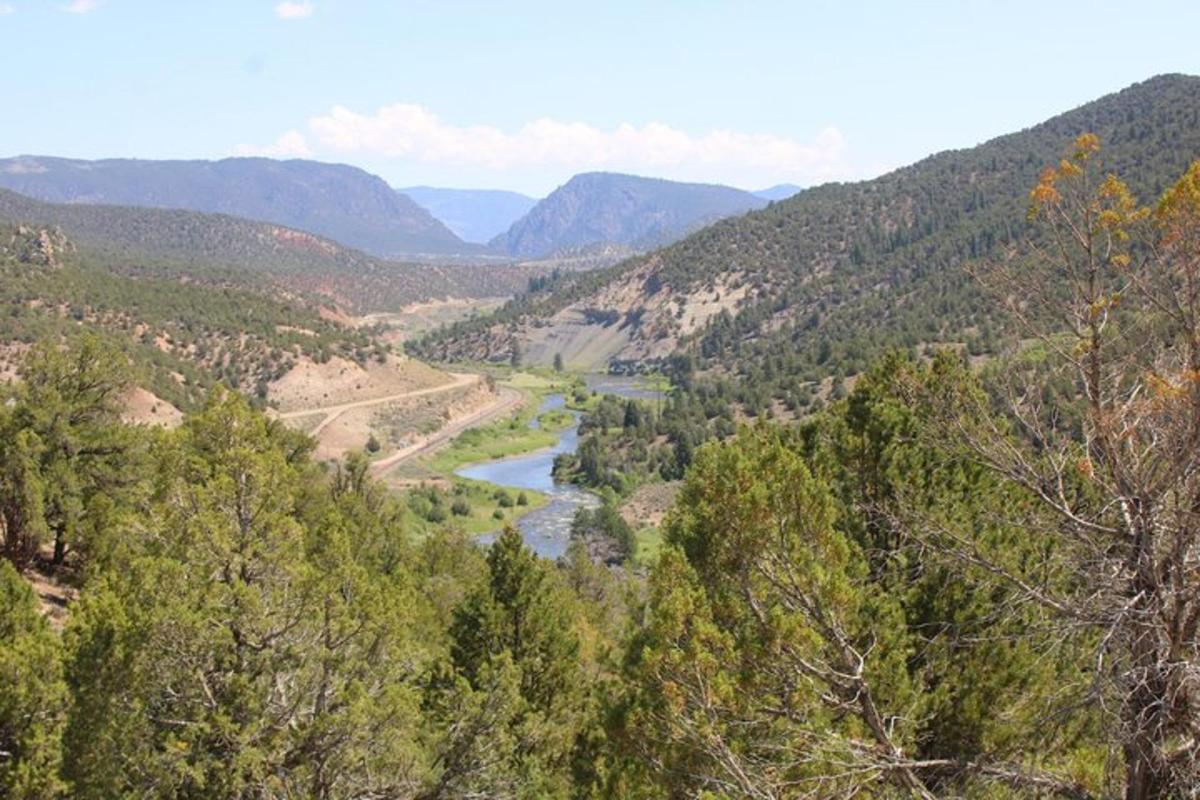 a view of a river in a valley with trees