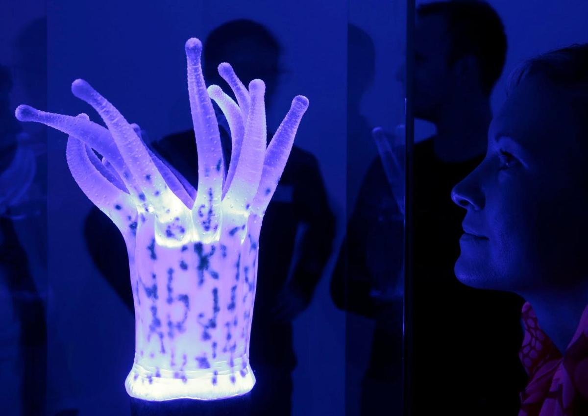 a woman is looking at a glass vase with lights