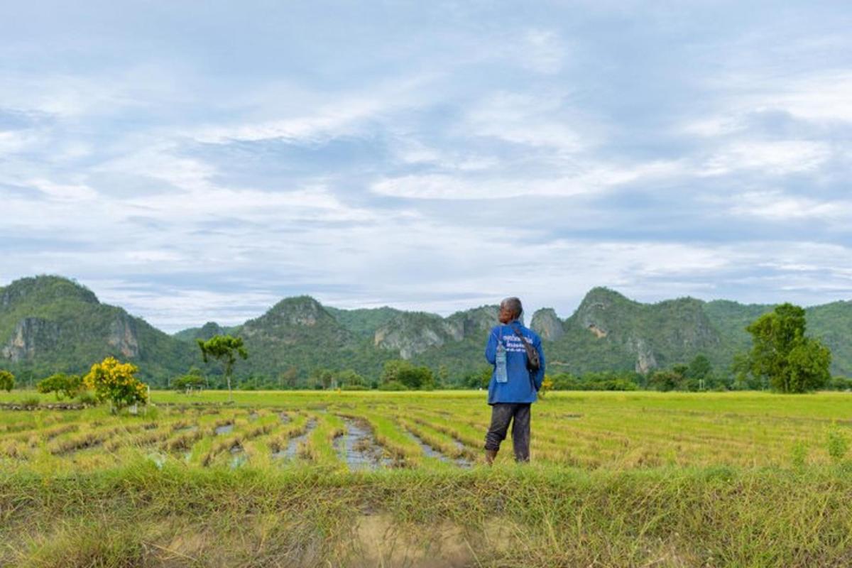a man standing in a field with mountains in the background
