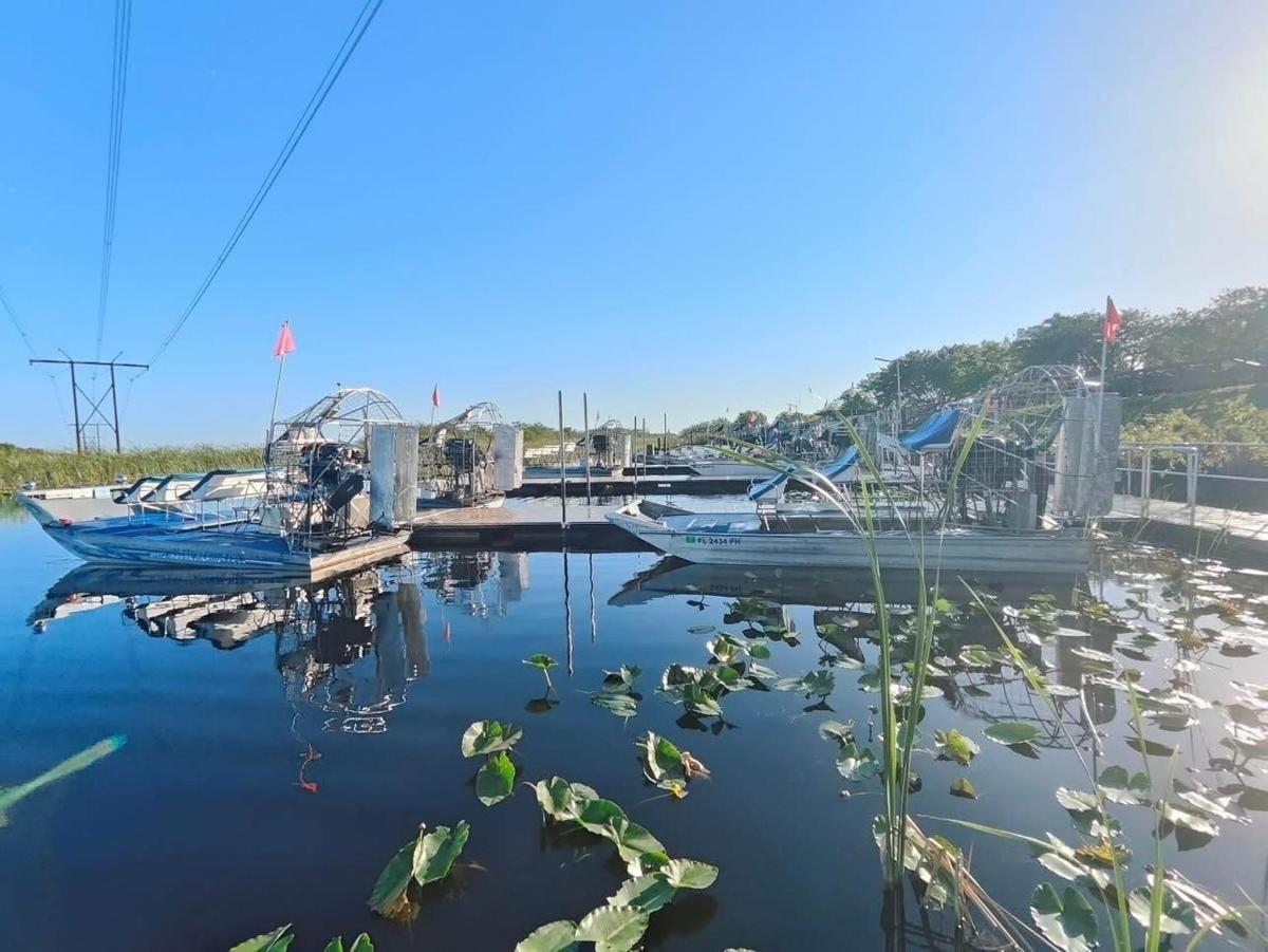 a marina with boats and plants in the water
