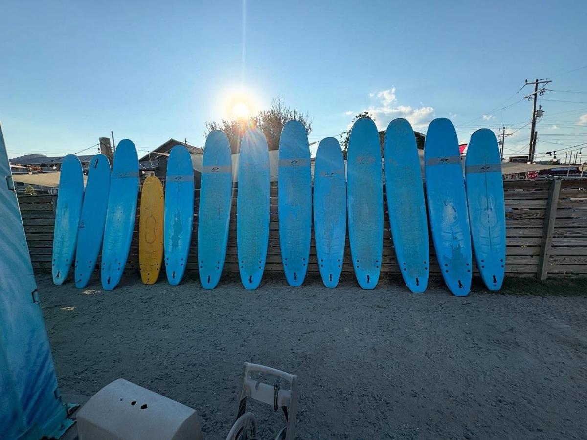 a row of surfboards lined up against a fence