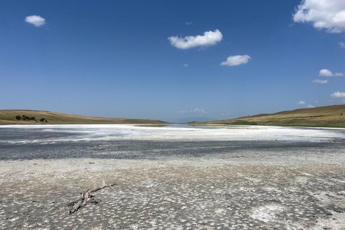 a frozen lake with a branch in the middle