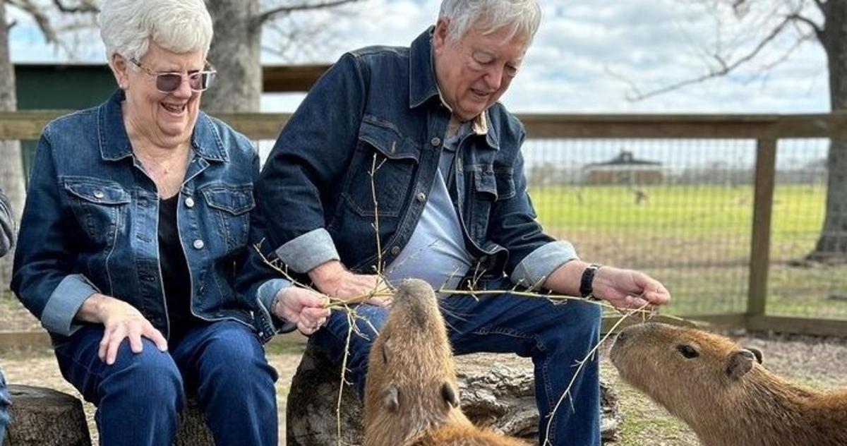 a man and woman feeding animals at a zoo