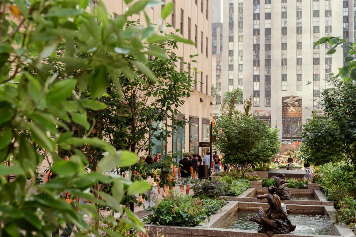a garden in a city with tall buildings