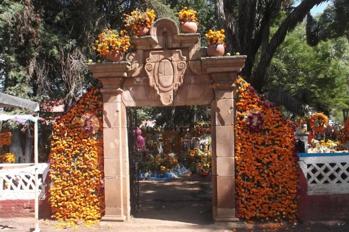 an arch covered in flowers in a garden