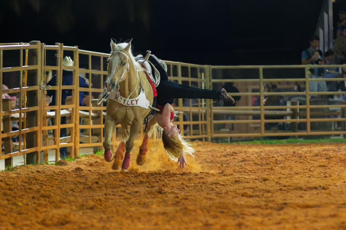a person is riding a horse in a rodeo