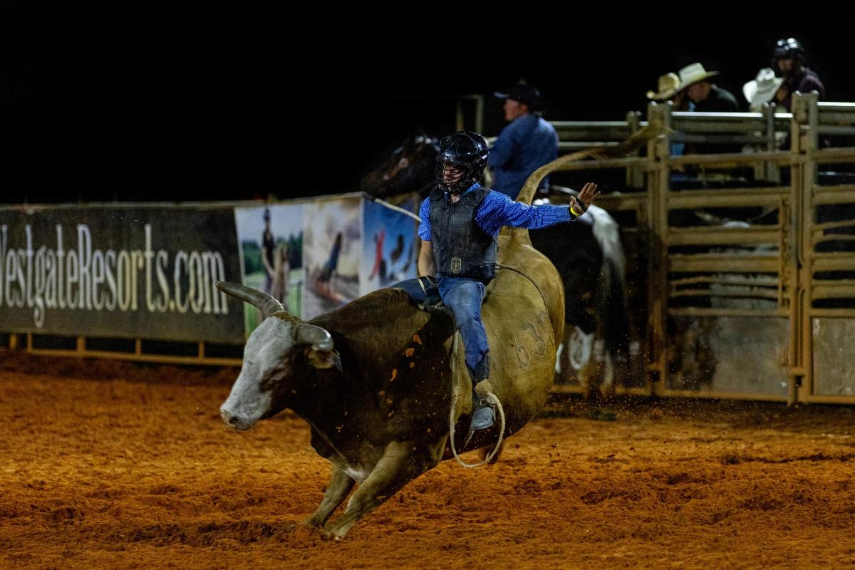 a man riding on the back of a bull in a rodeo