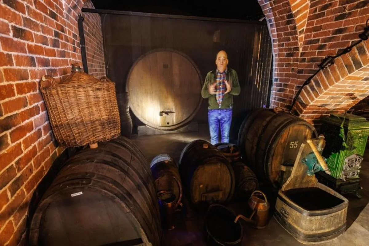 Colmar : Inside Vino Storia - Voyage à travers l'Alsace Histoire du vin – photo 1