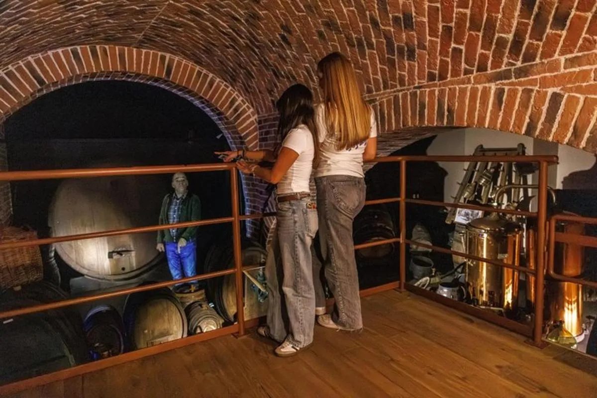 Colmar : Inside Vino Storia - Voyage à travers l'Alsace Histoire du vin – photo 6