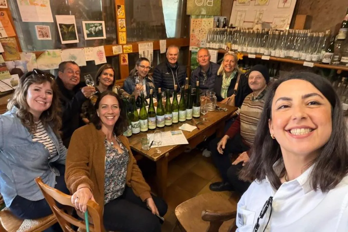 Visite œnologique d'une demi-journée en Alsace au départ de Colmar – photo 7