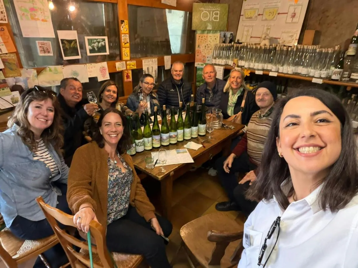 Excursion sur le thème des vins d'Alsace au départ de Colmar – photo 7