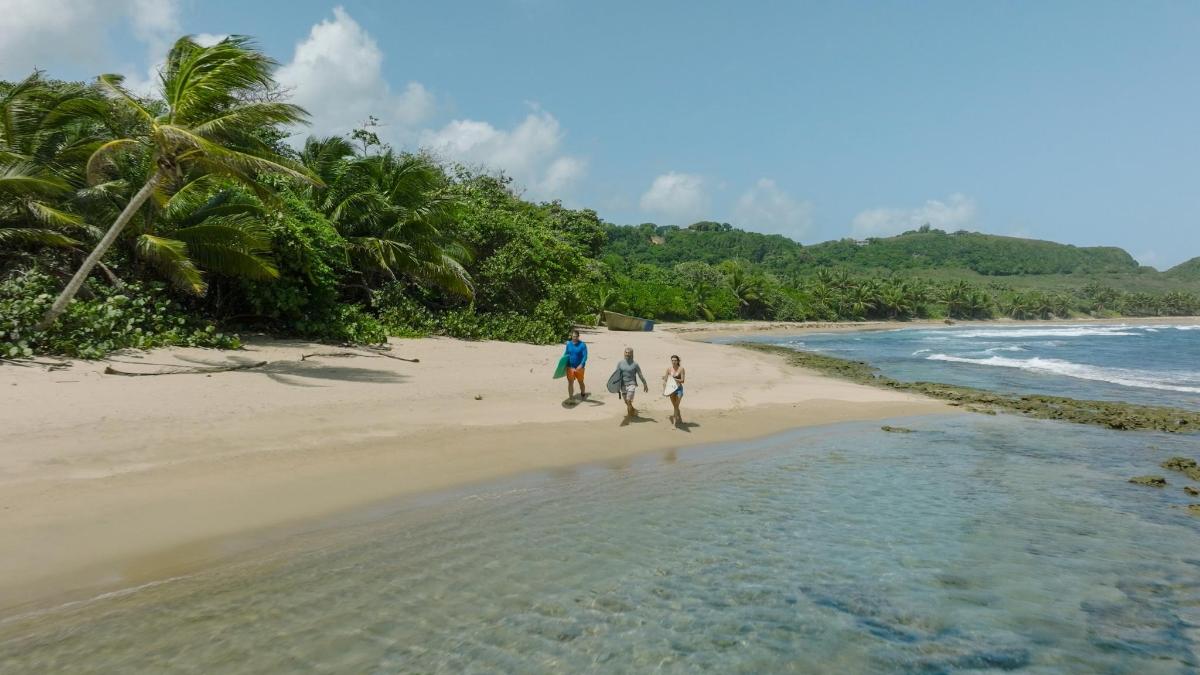 a group of people walking on the beach